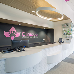 Clinique vétérinaire Côté