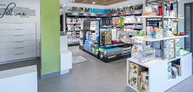 Clinique vétérinaire Féline de Sainte-Foy
